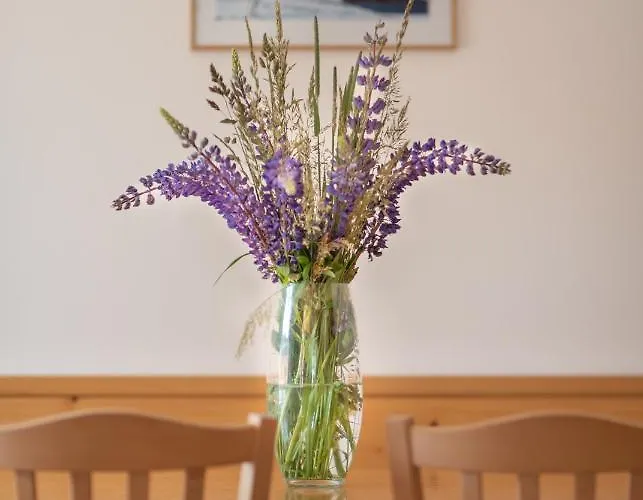 Wellness Relax * Ostružná